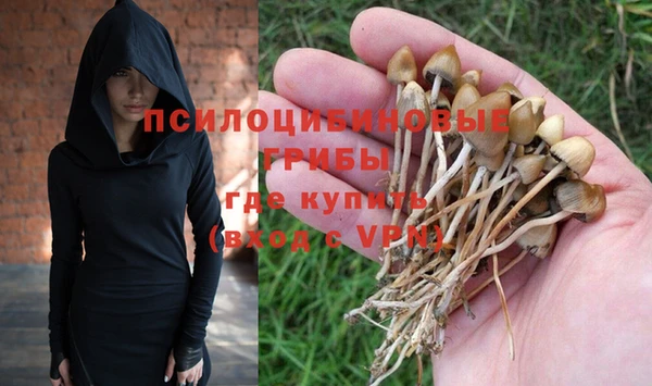 бутират Богданович